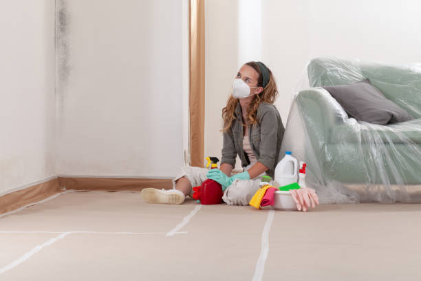 Reliable Black Mold Removal contractor in Union Bridge, MD by WQB Mold Removal
